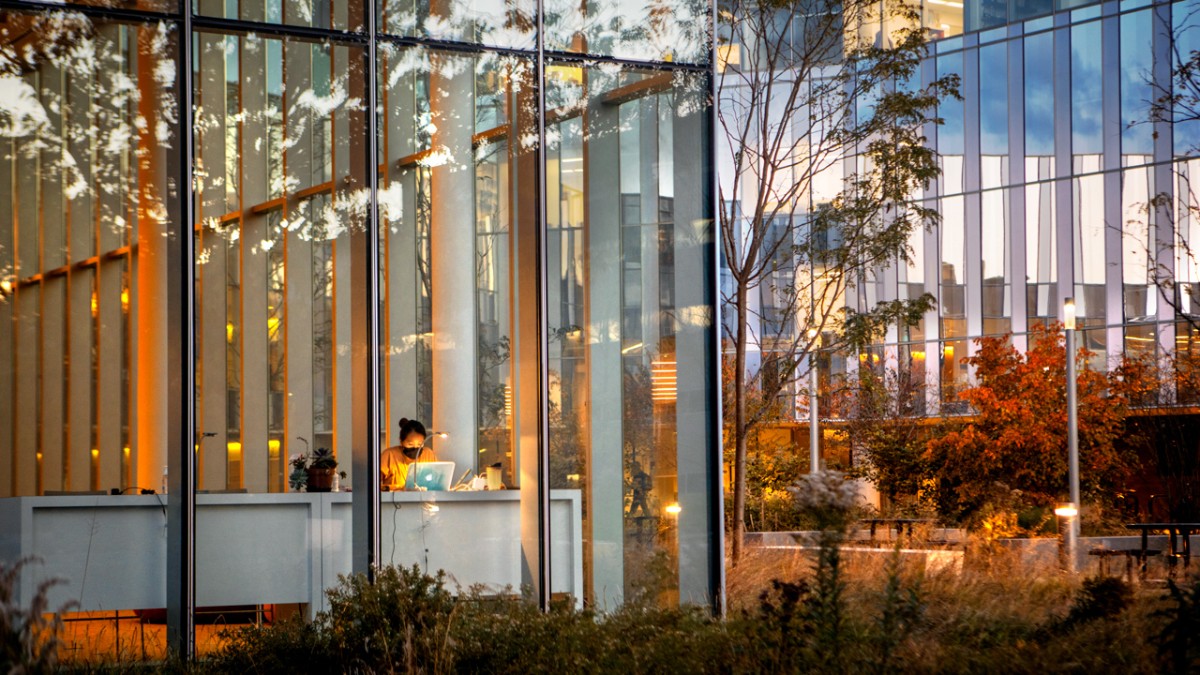 View through a wall of windows of woman working at computer in the early evening
