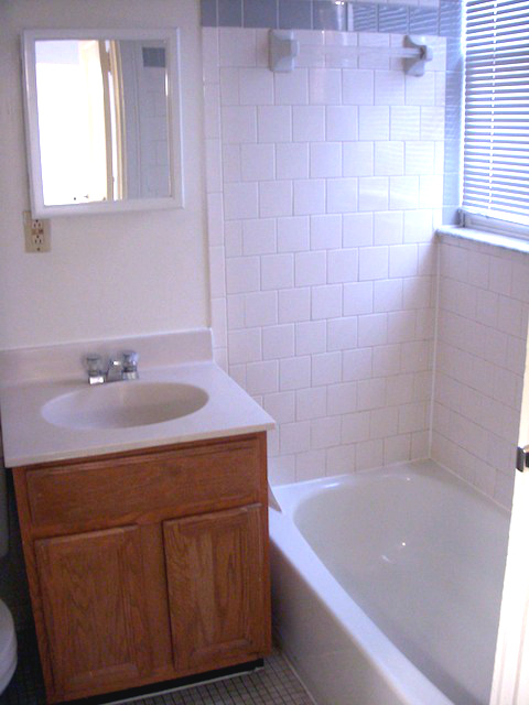 CIW bathroom with sink and bathtub