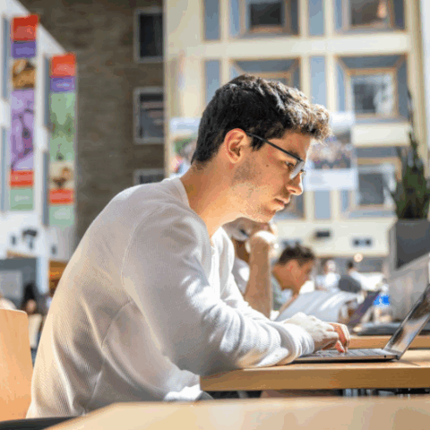 Student typing on laptop in Duffield Hall Atrium