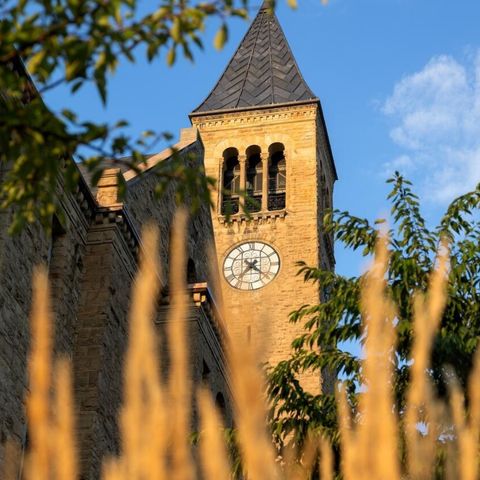 Cornell clock tower in the summer