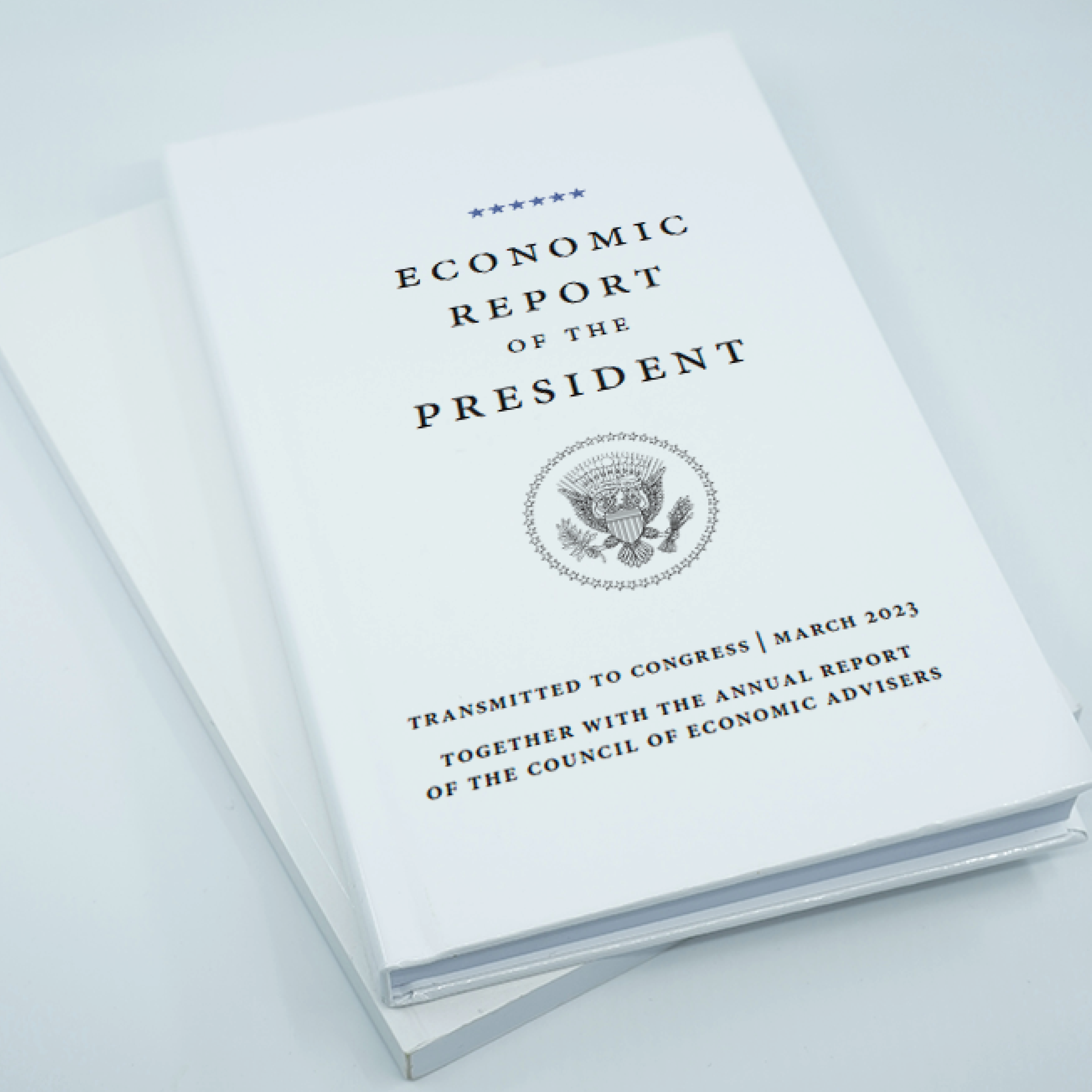 White House economics book