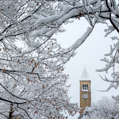 Cornell clock tower in the winter