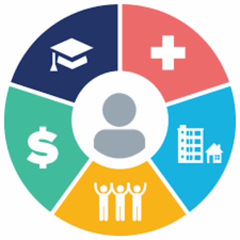 Wheel graphic representing social determinants of health: education, healthcare, economic status, social relationships, and housing
