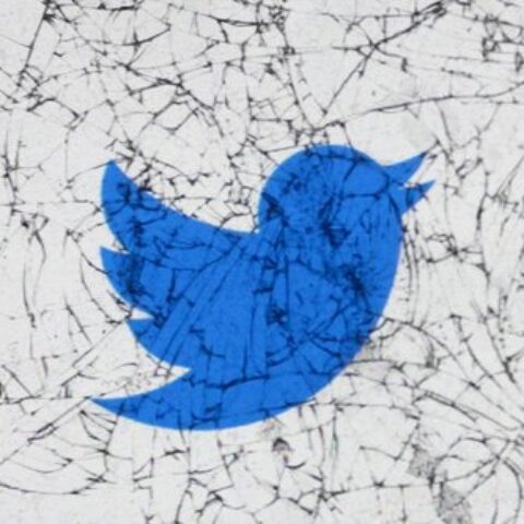 blue twitter bird behind smashed glass